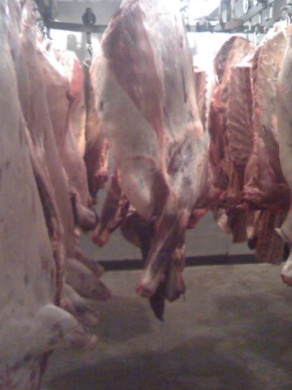 Beef and Hogs